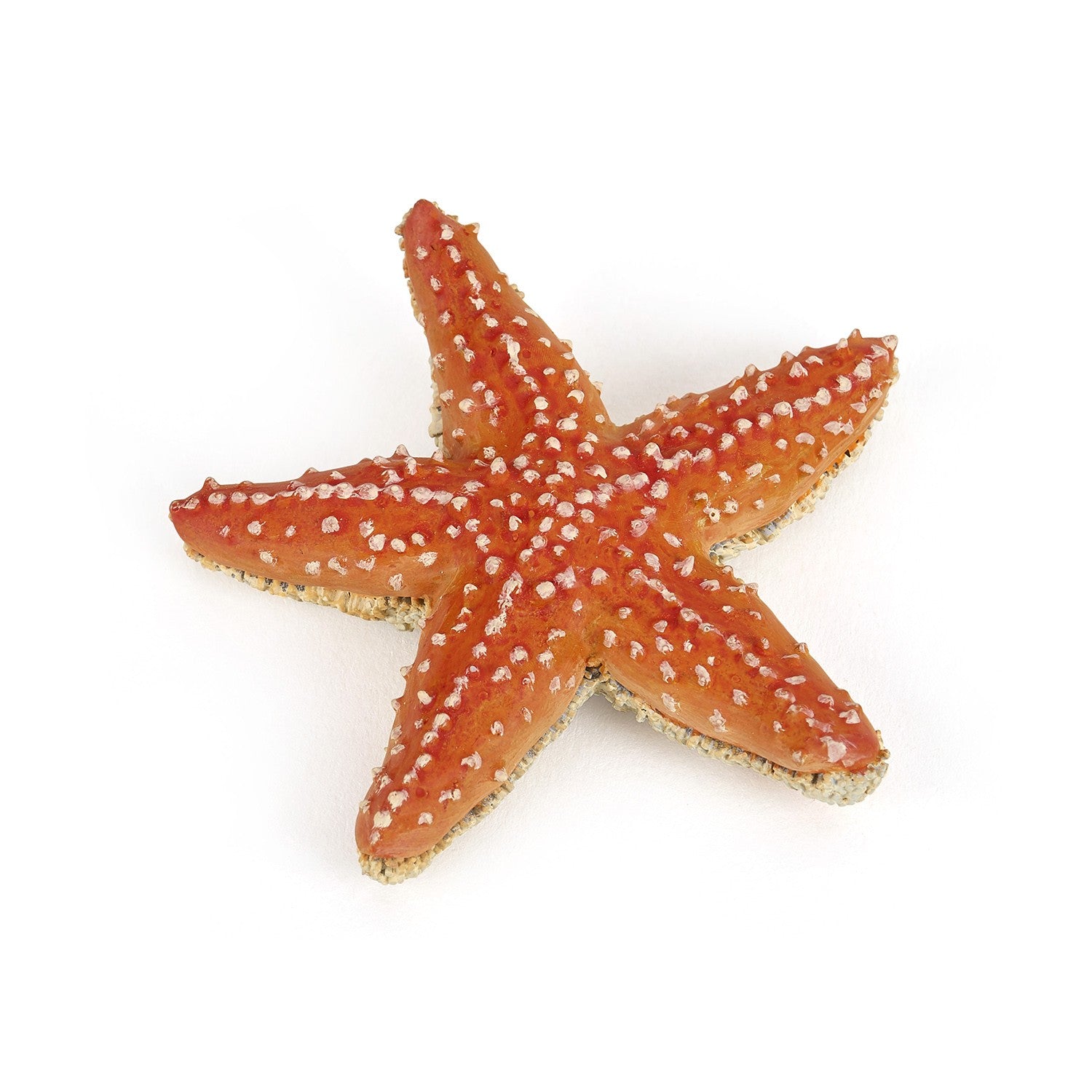 papo-marine-world-seestern-figur-meerestier-mit-5-armen image 3