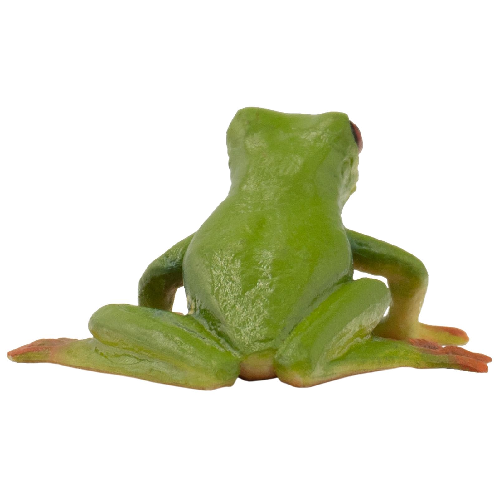 bullyland-frogs-rotaugenlaubfrosch-68516-tierfigur-6-8-cm image 4