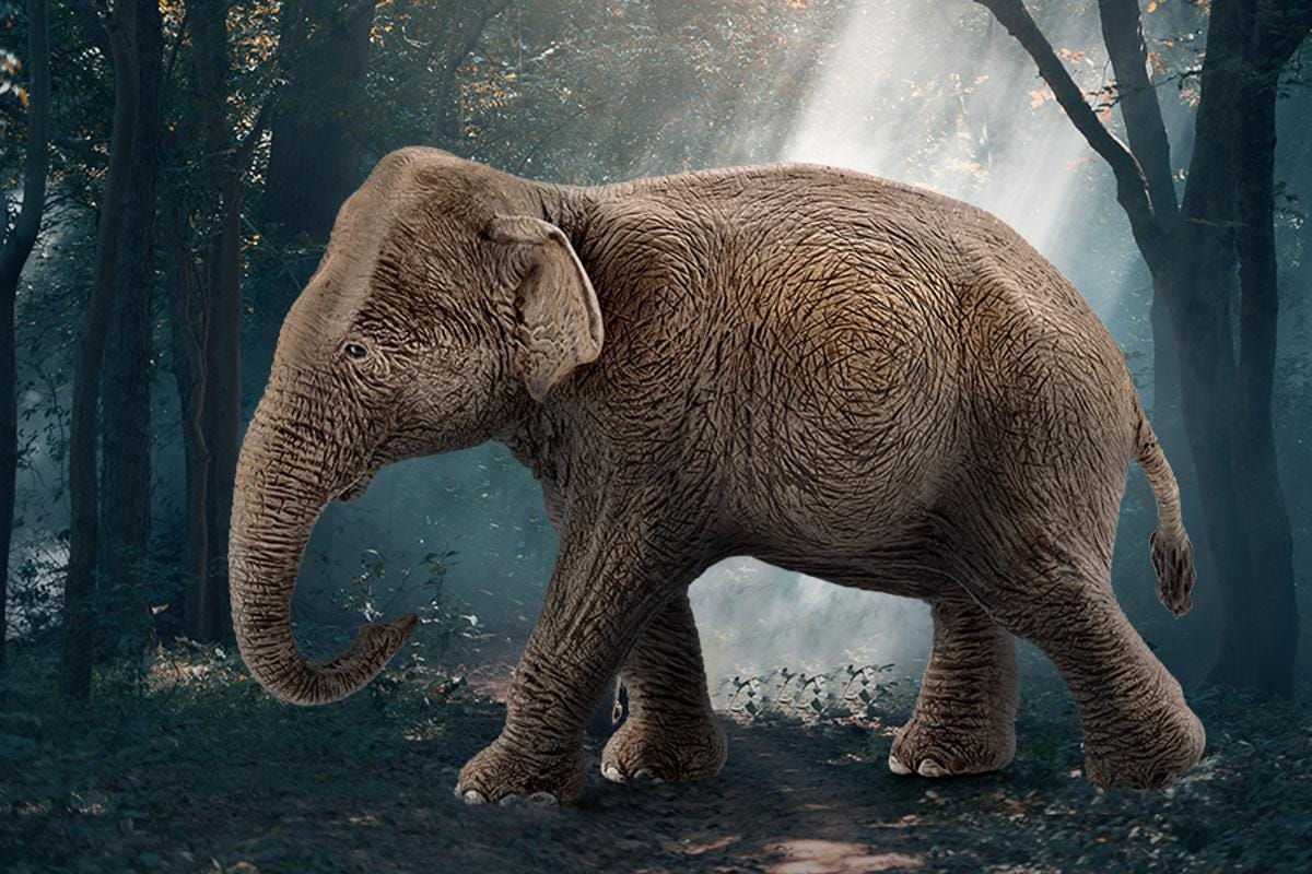 schleich-wild-life-asiatische-elefantenkuh-tierfigur-17001 image 2