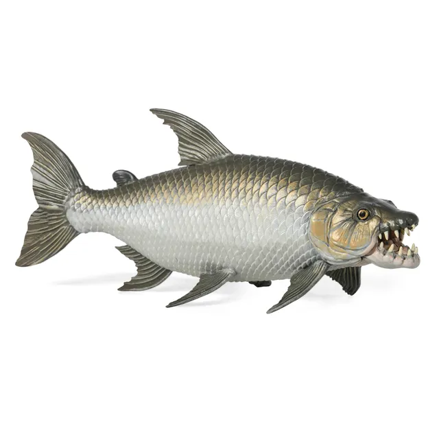 papo-marine-world-goliath-tigerfisch-figur-raubfisch image 1