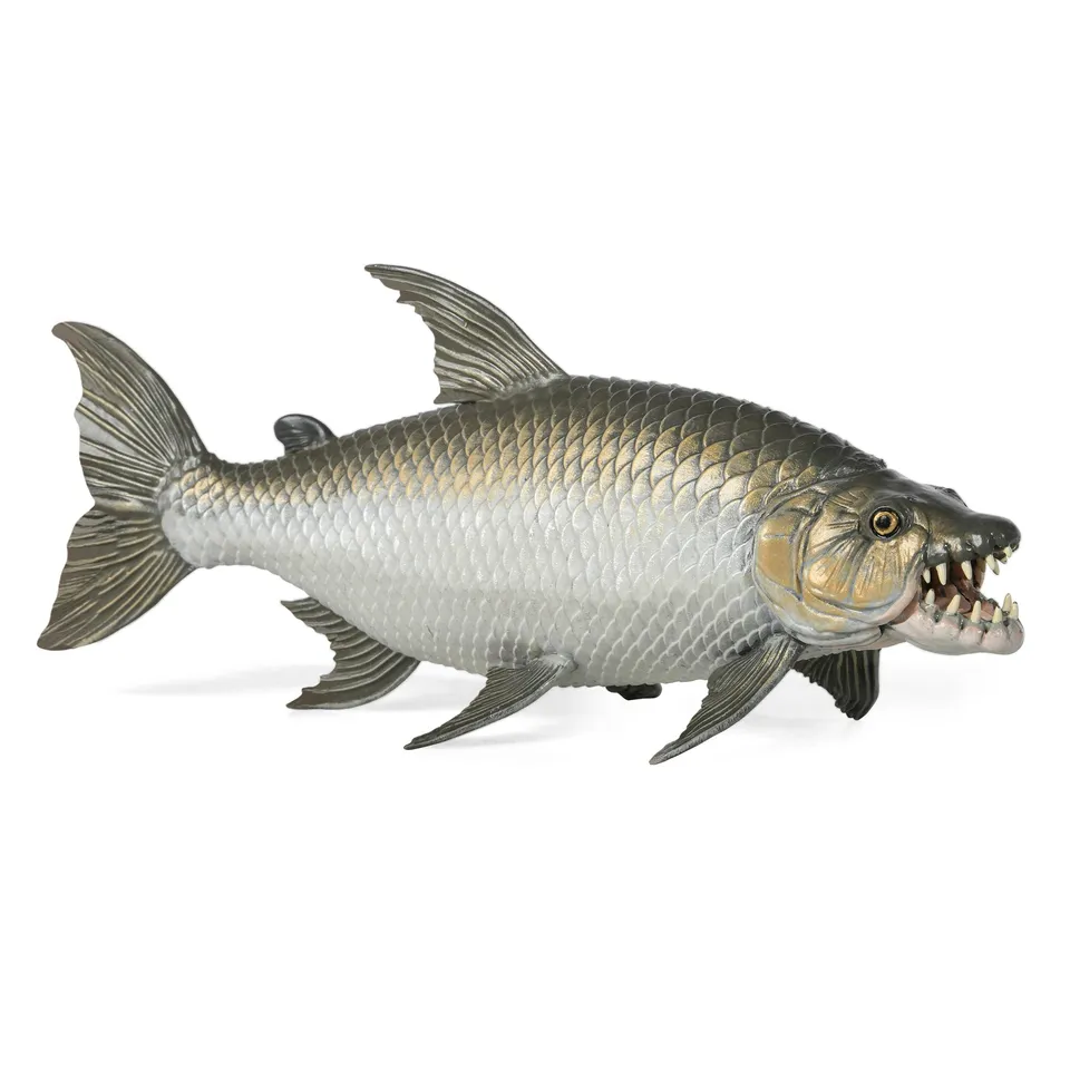 papo-marine-world-goliath-tigerfisch-figur-raubfisch image 1