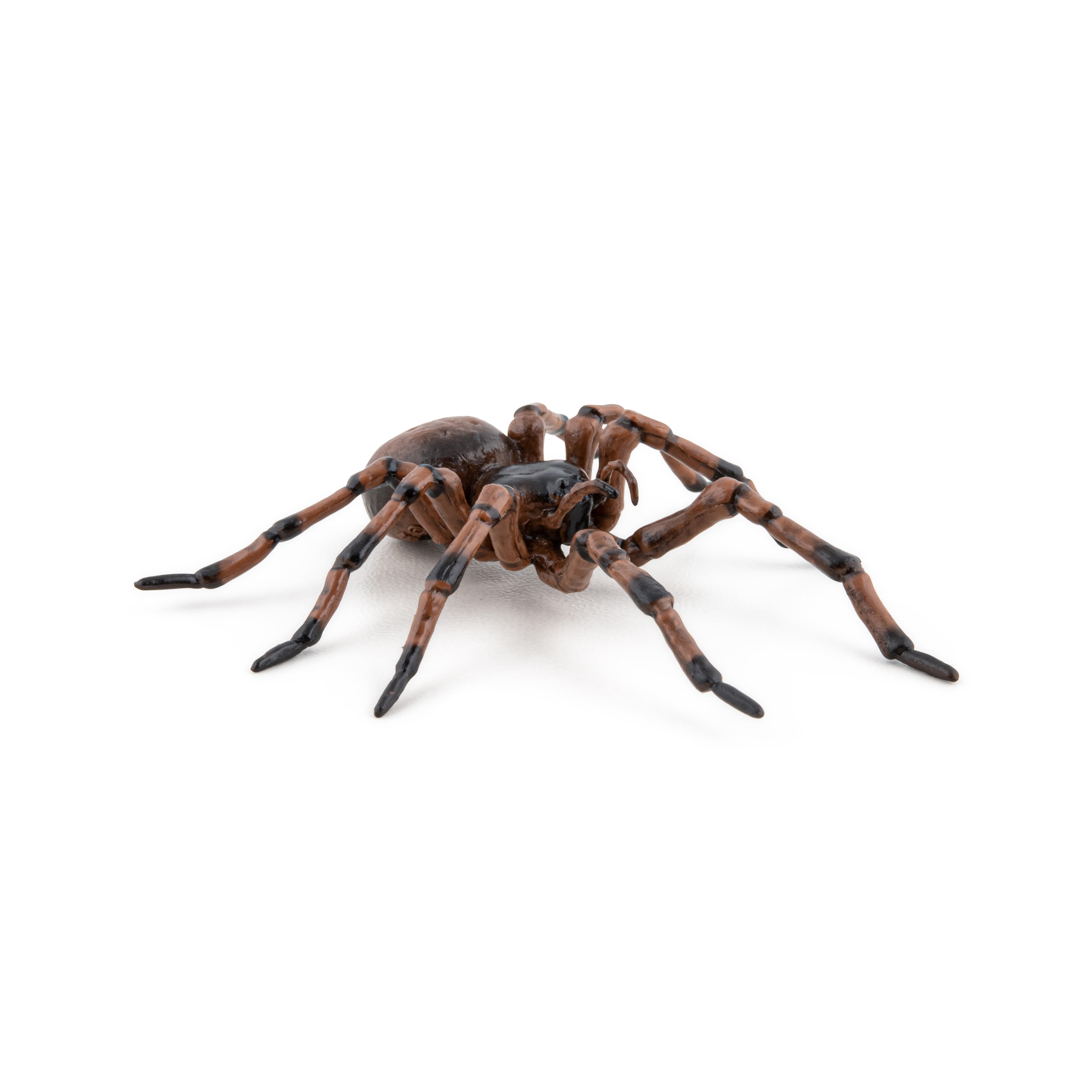 papo-garden-animals-gew-hnliche-spinnenfigur-hausspinne image 5