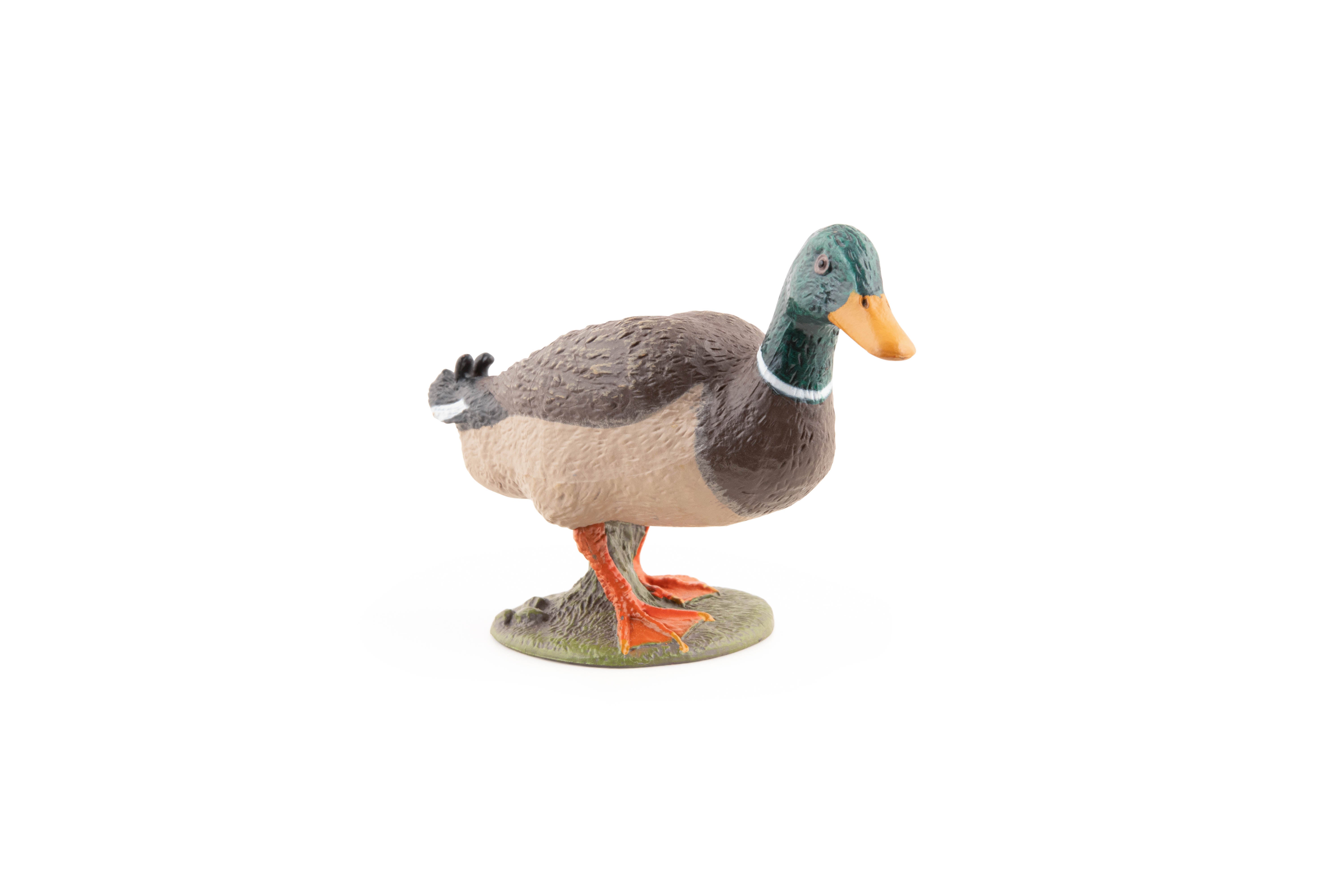 papo-farmyard-friends-stockente-spielfigur-wasservogel image 5