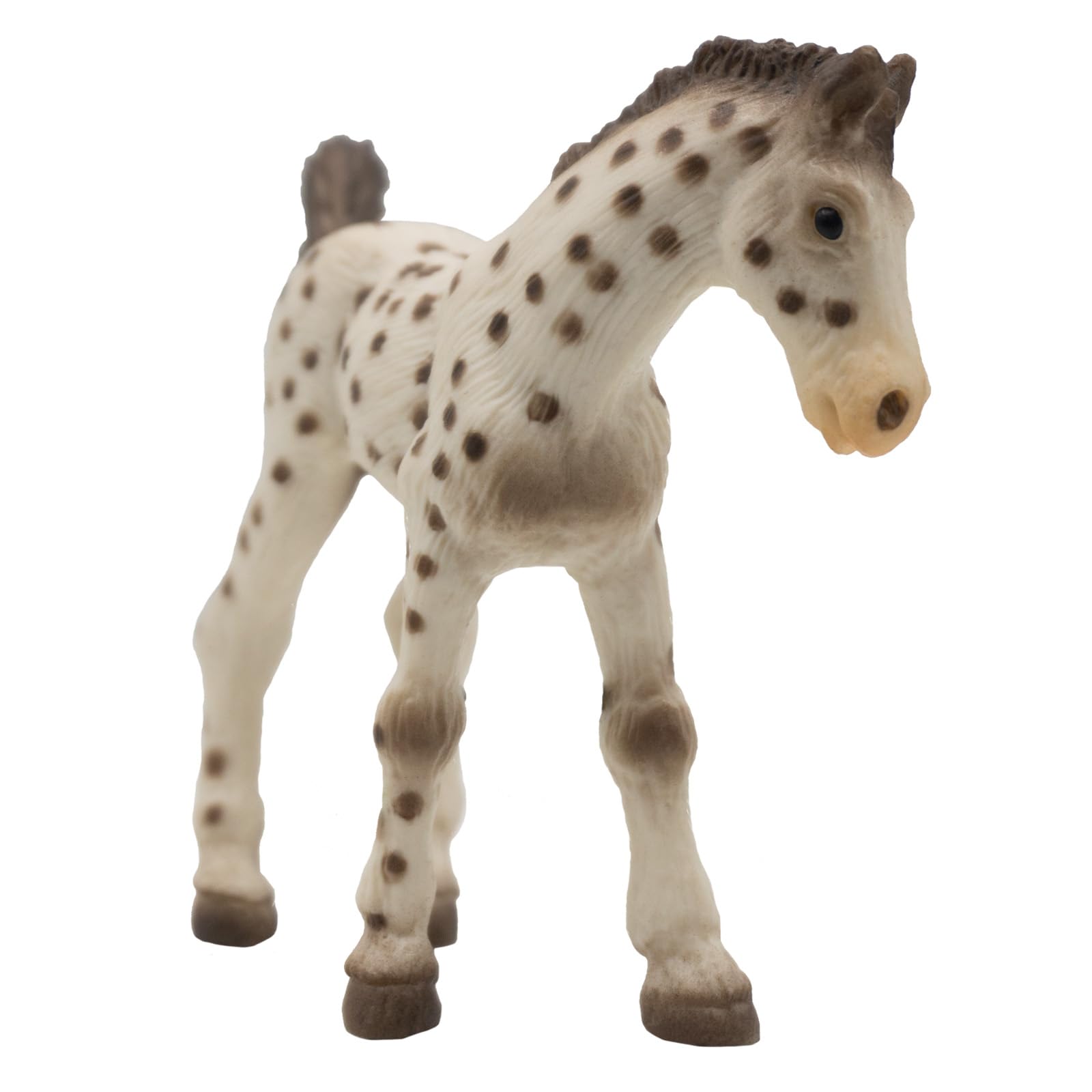 bullyland-paddock-knabstrupper-fohlen-62673-pferdefigur-8-9-cm image 3