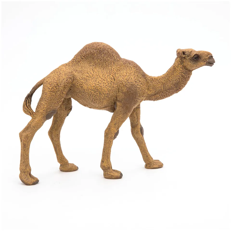 papo-wildlife-dromedar-tierfigur-w-stentier image 1
