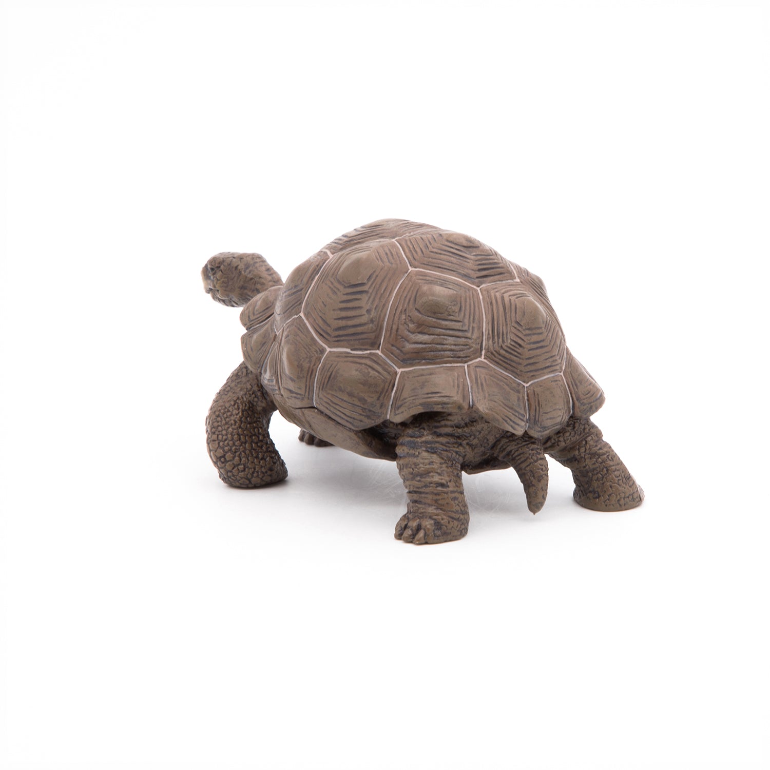 papo-wildlife-galapagos-schildkr-te-reptil-figur image 8