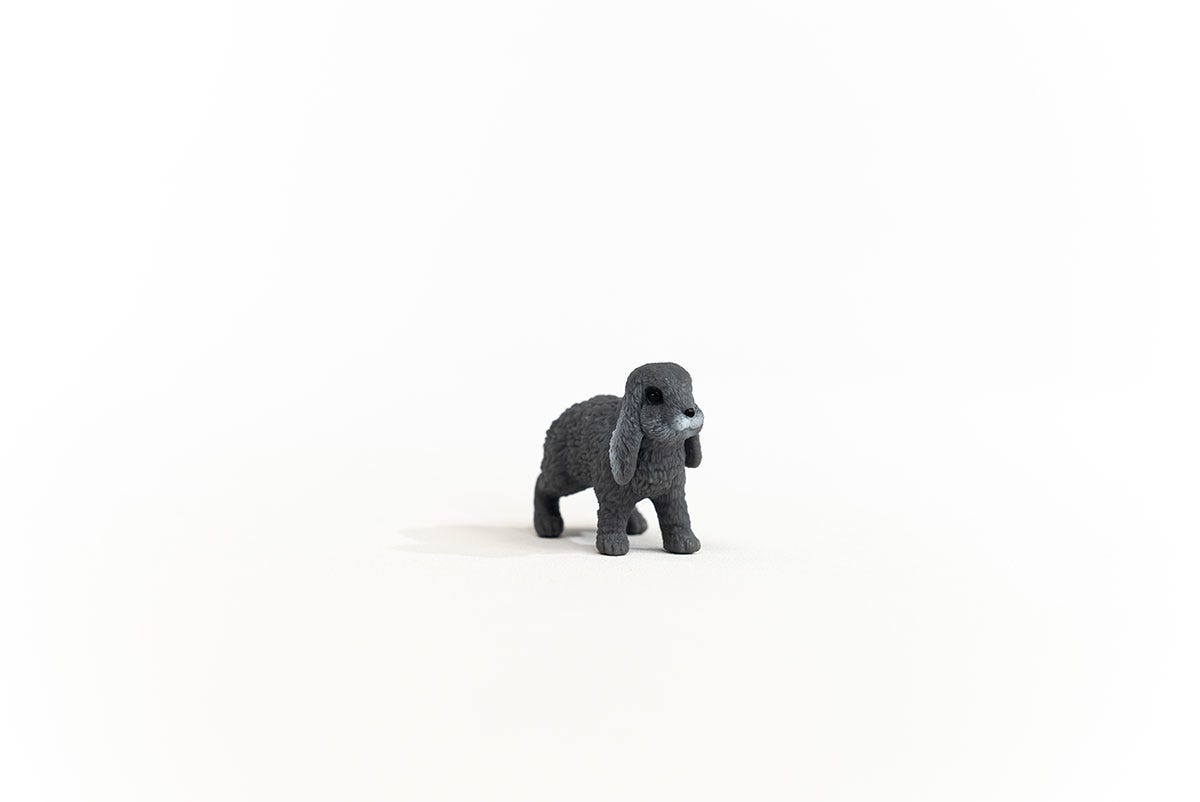 schleich-farm-world-langohrhase-13935-hasenfigur image 5