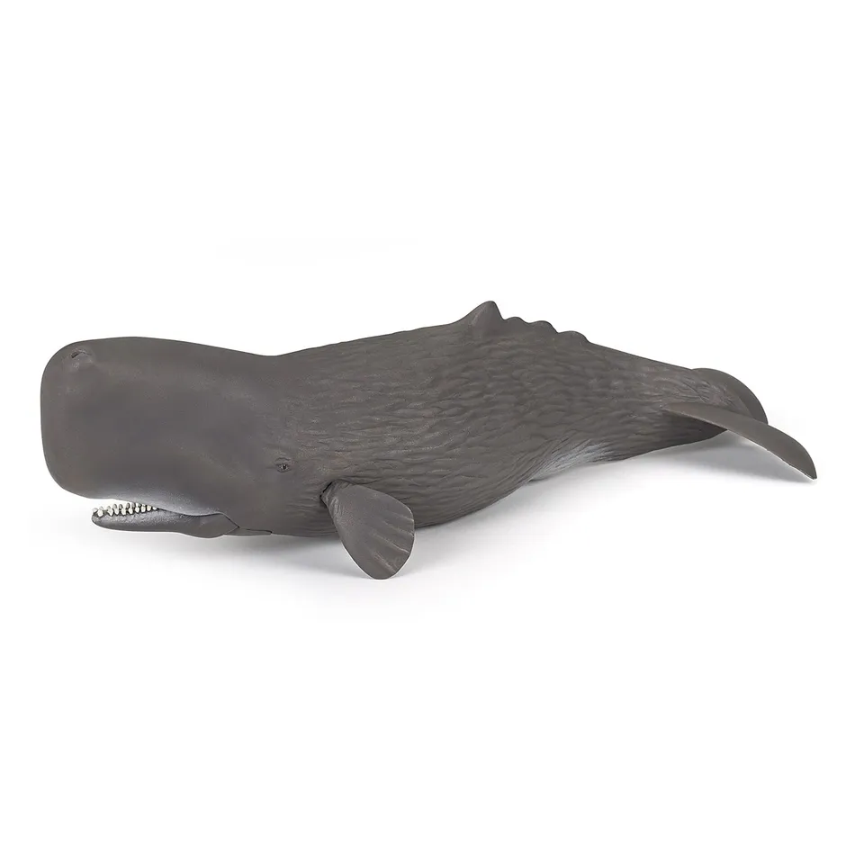 papo-marine-world-pottwal-figur-meerestier-zahnwal image 1