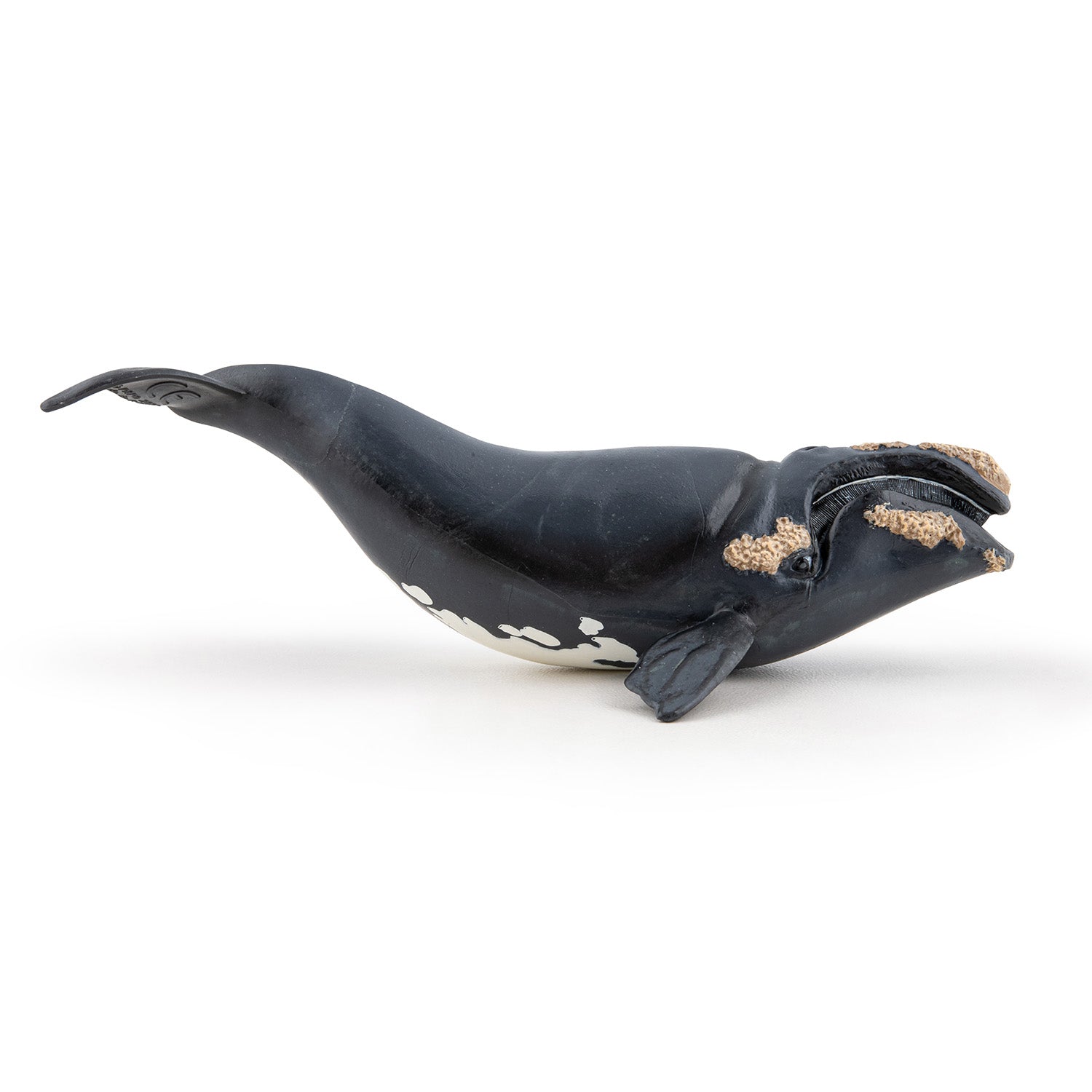 papo-marine-world-glattwal-figur-meerestier image 5