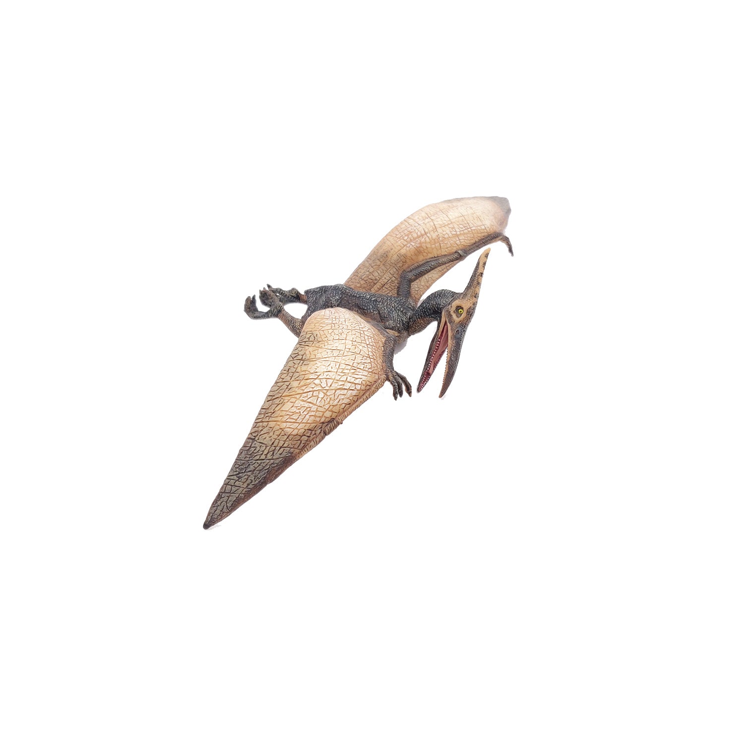 papo-dinosaurs-pteranodon-figur-flugsaurier image 5