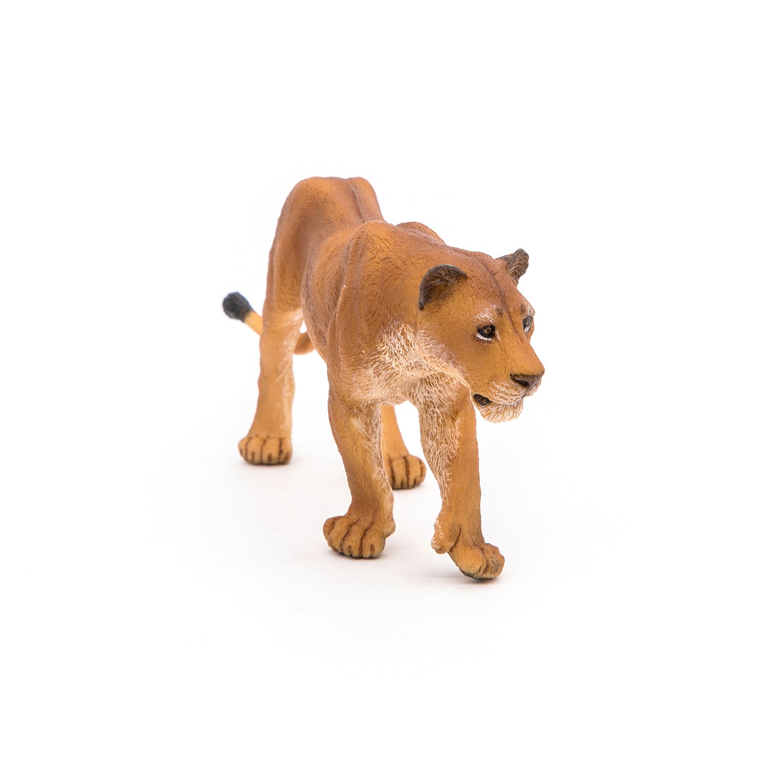 papo-wildlife-l-win-figur-savanne-raubtier image 4