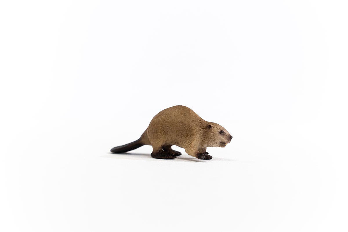 schleich-wild-life-biber-14855-tierfigur-waldtier image 4