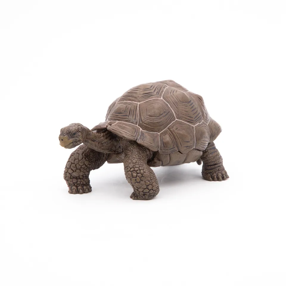 papo-wildlife-galapagos-schildkr-te-reptil-figur image 1