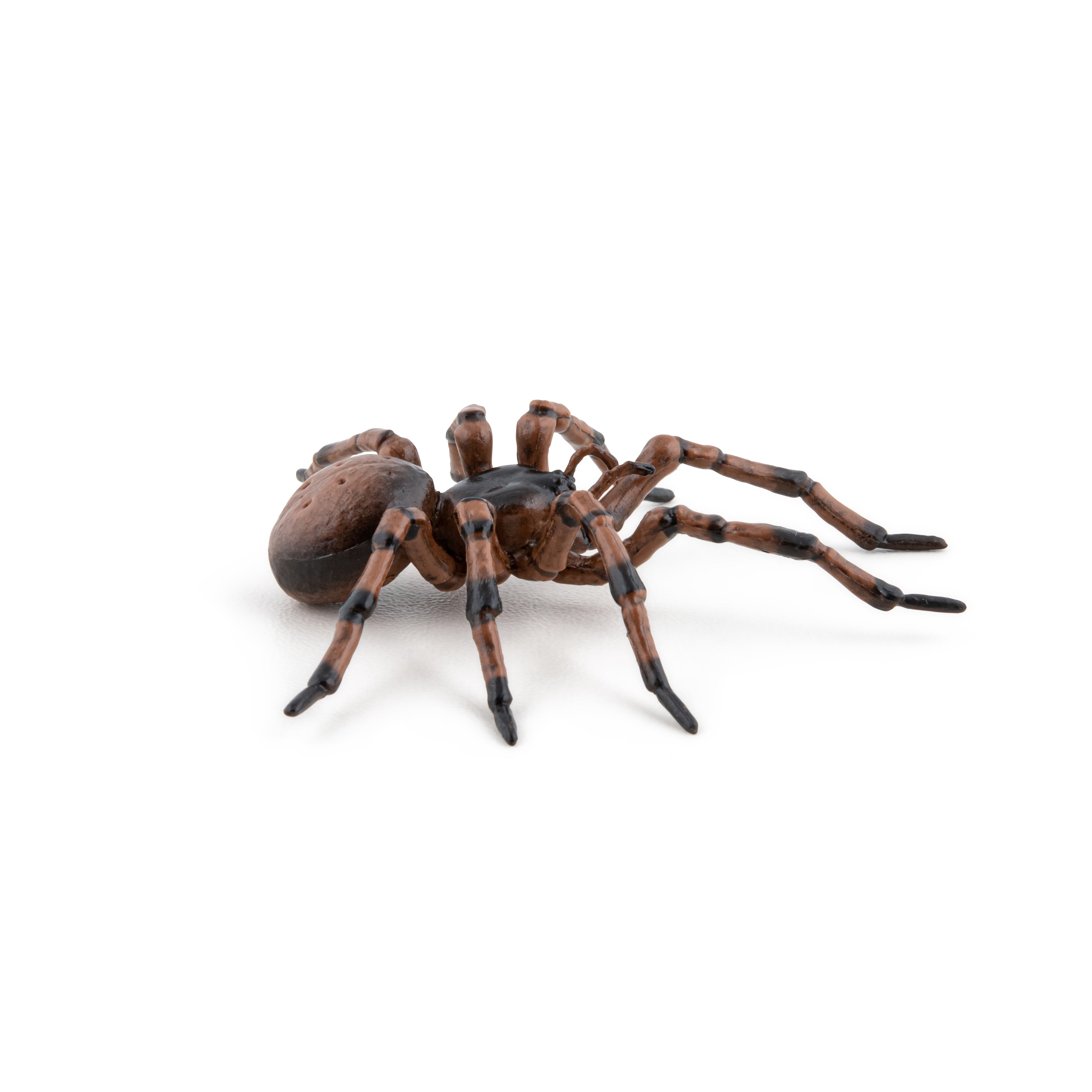 papo-garden-animals-gew-hnliche-spinnenfigur-hausspinne image 6