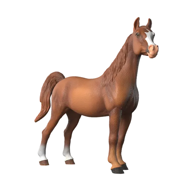 schleich-horse-club-amira-araber-stute-sammlerfigur-1-12 image 1