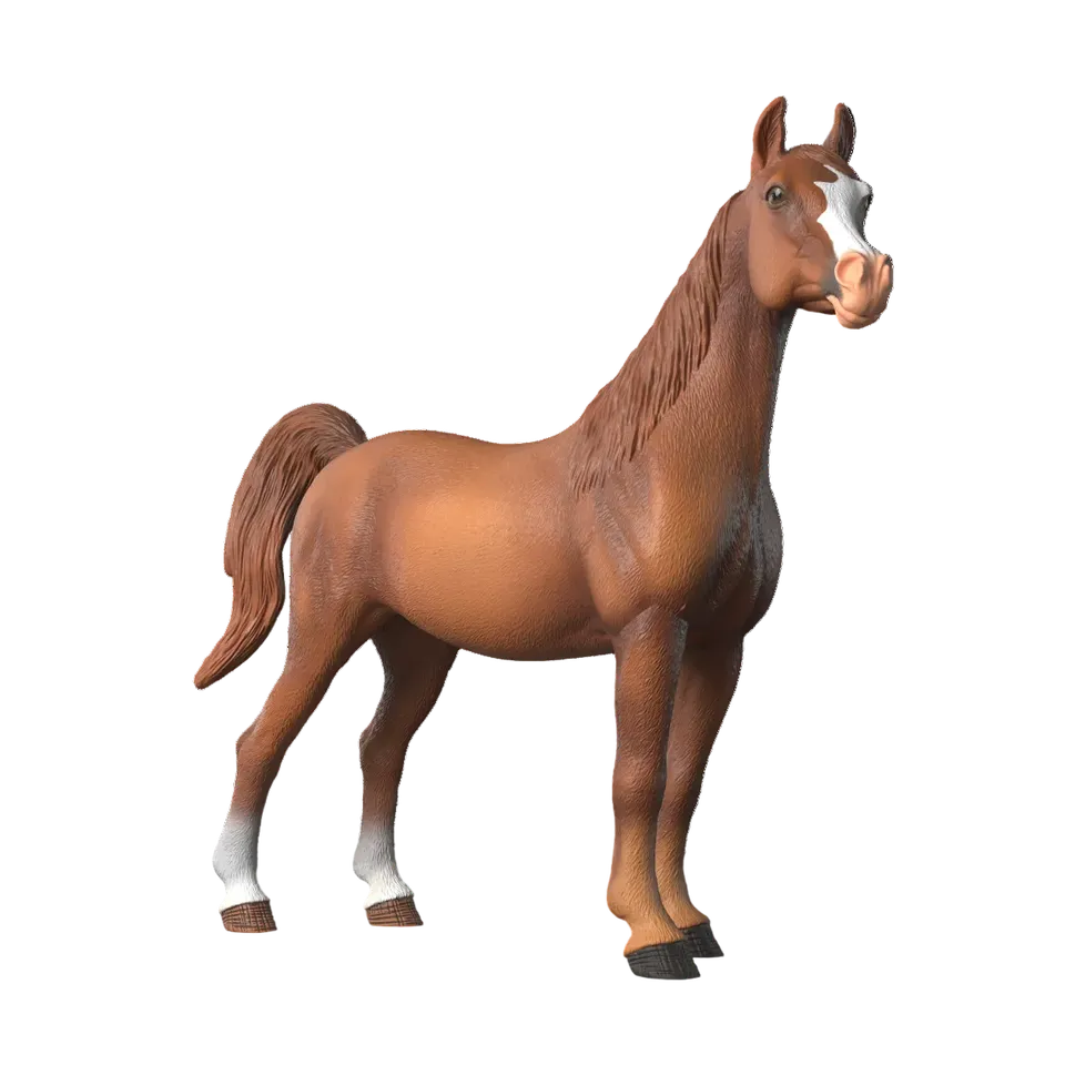 schleich-horse-club-amira-araber-stute-sammlerfigur-1-12 image 1