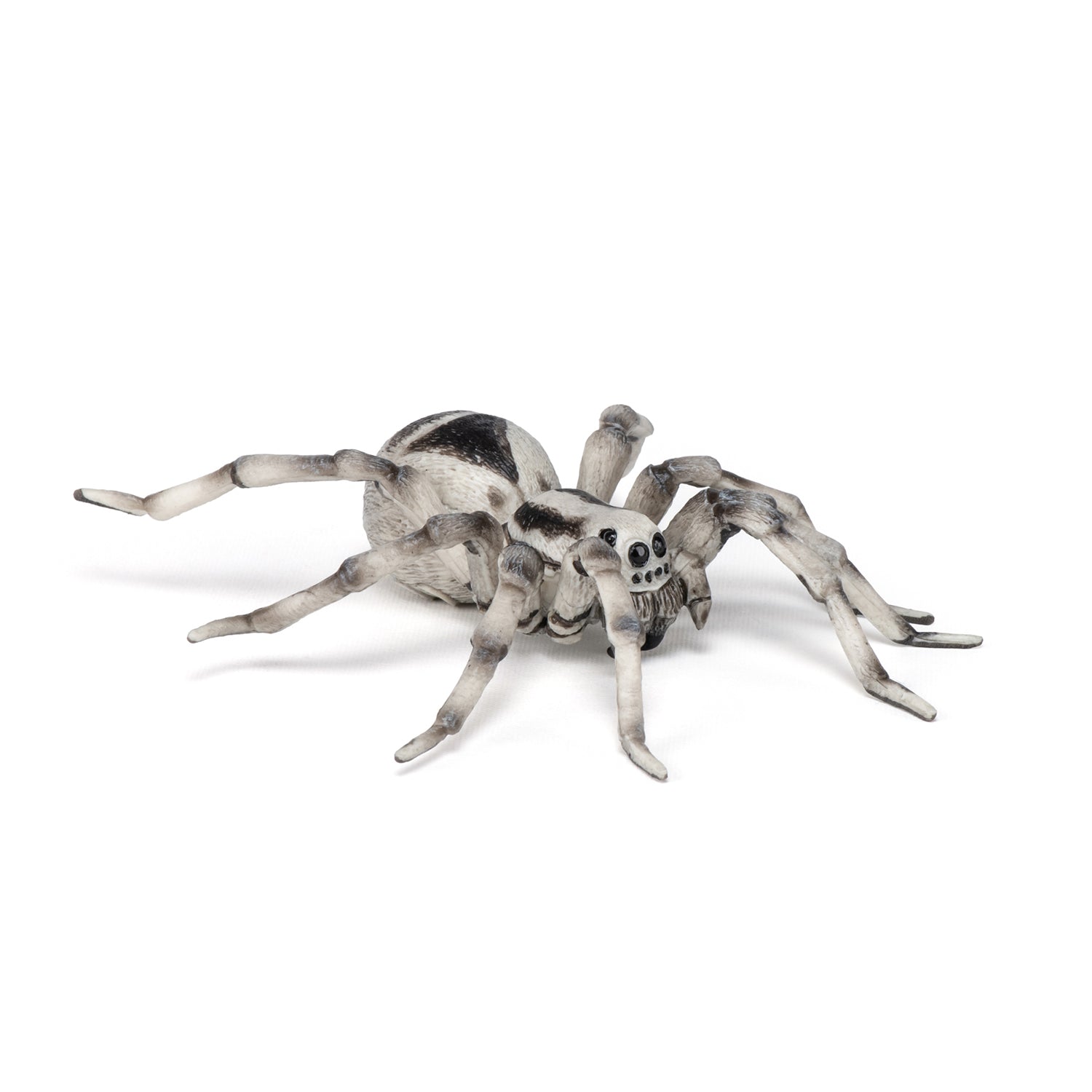 papo-wildlife-tarantel-figur-vogelspinne-spinnentier image 6