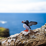 schleich-wild-life-papageitaucher-vogelfigur-seevogel image 2