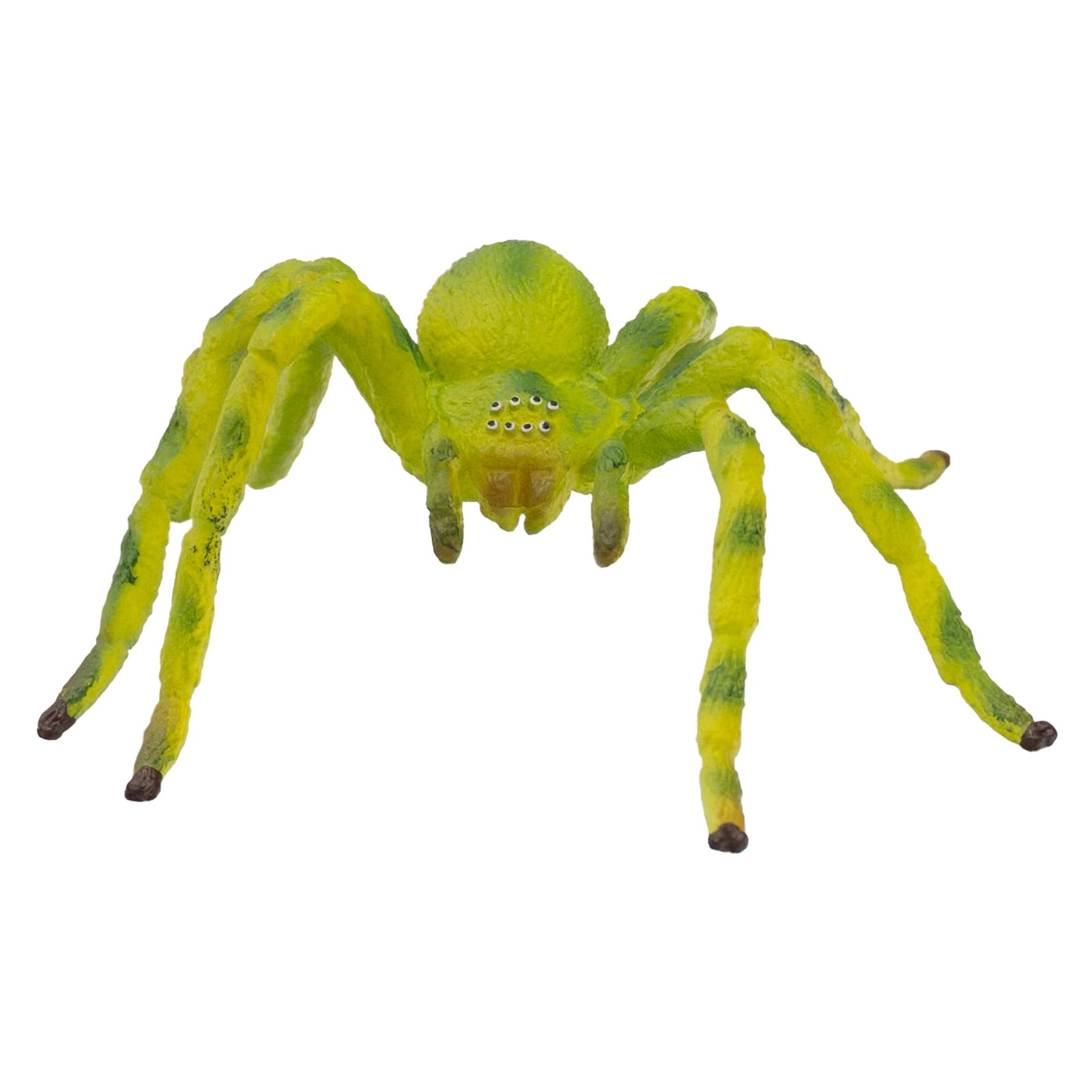 bullyland-crawlers-gr-ne-huschspinne-tierfigur-68455 image 3