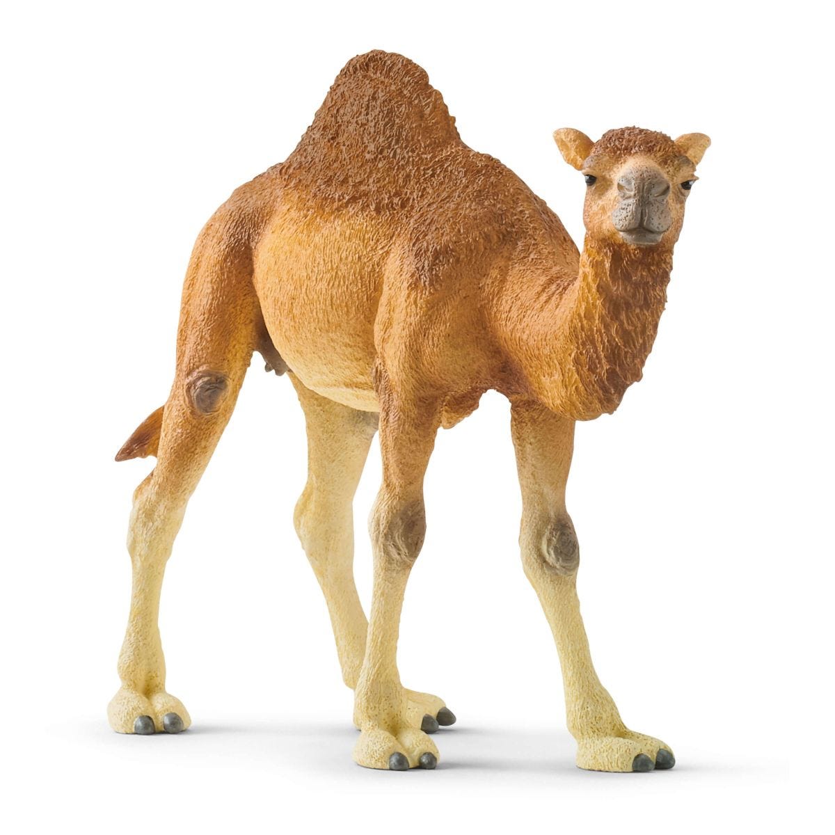 schleich-wild-life-dromedar-14832-tierfigur-w-stentier image 2