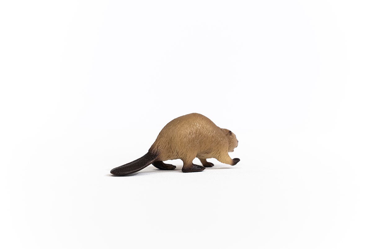 schleich-wild-life-biber-14855-tierfigur-waldtier image 3
