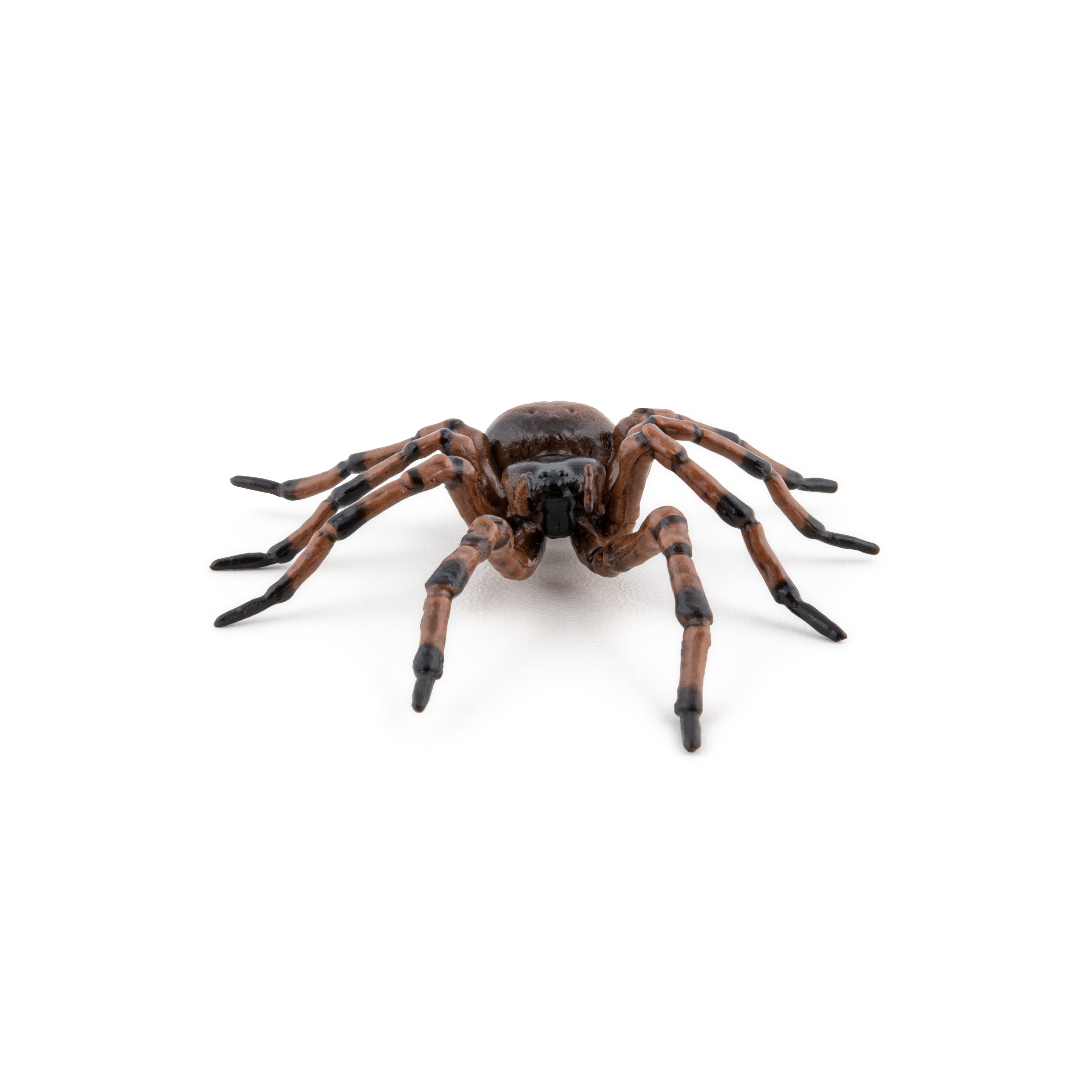 papo-garden-animals-gew-hnliche-spinnenfigur-hausspinne image 4