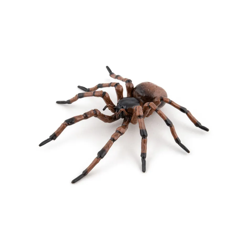 papo-garden-animals-gew-hnliche-spinnenfigur-hausspinne image 1