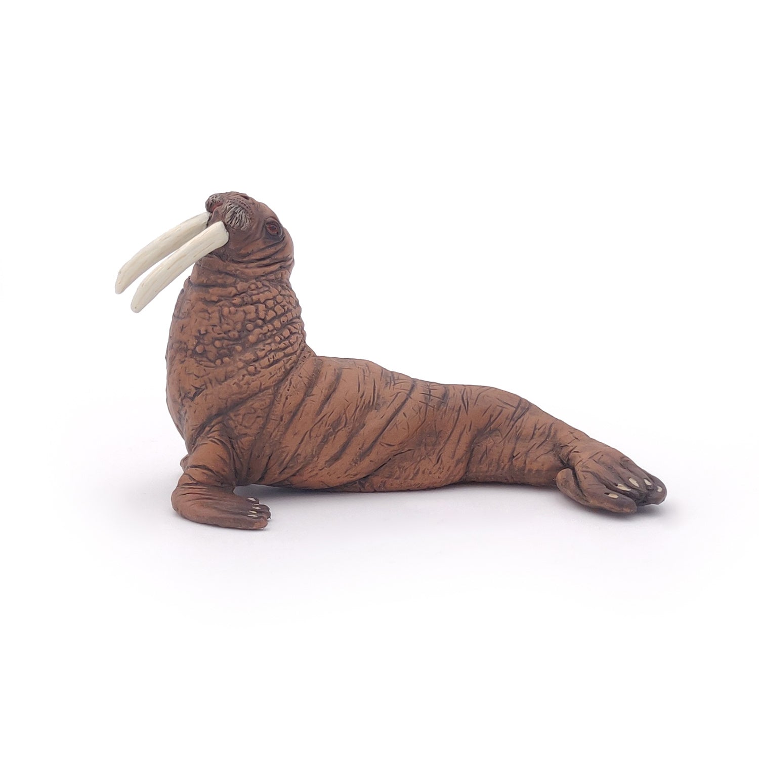 papo-marine-world-walross-meerestierfigur-sto-z-hne image 3