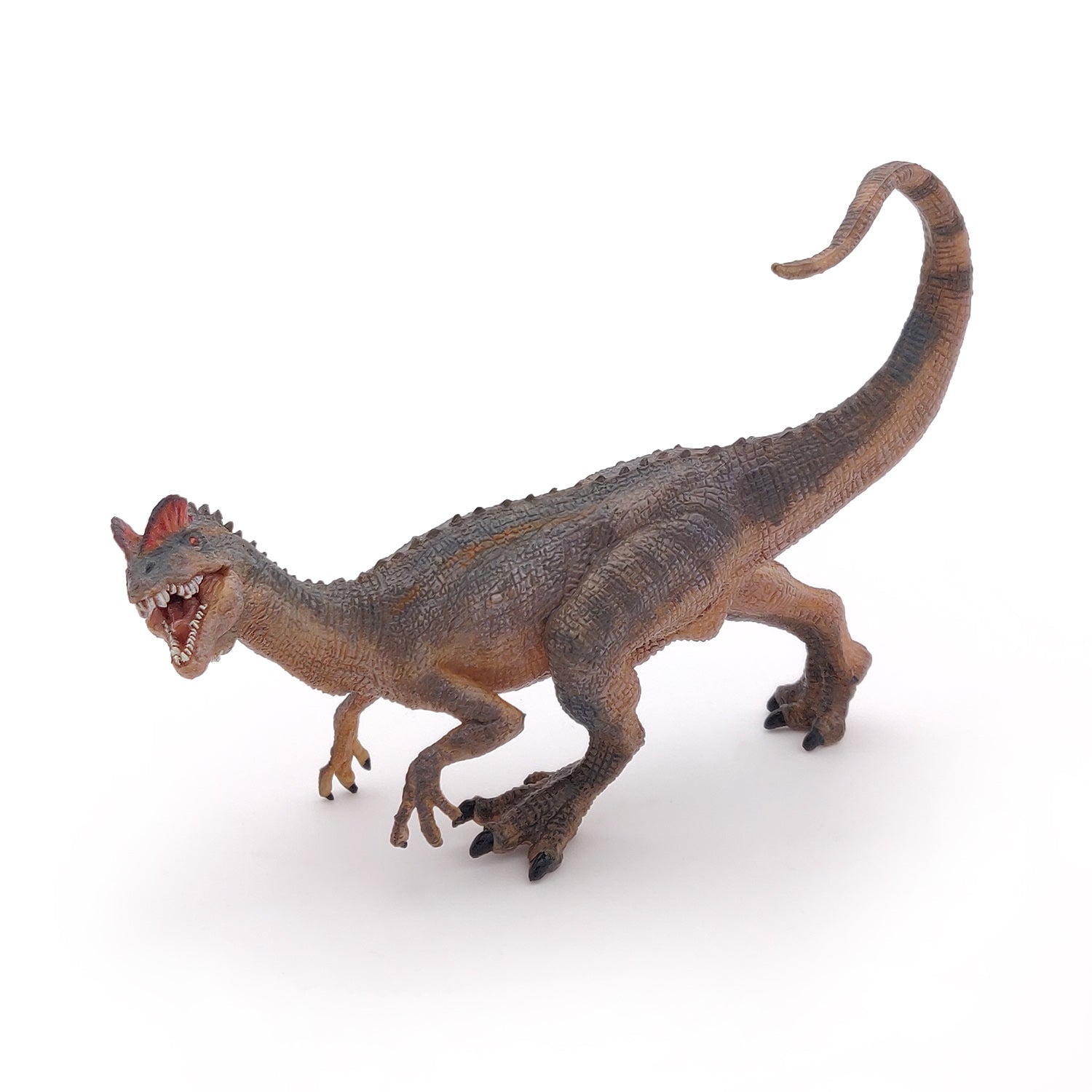 papo-dinosaurs-dilophosaurus-dinosaurierfigur-raubtier image 3