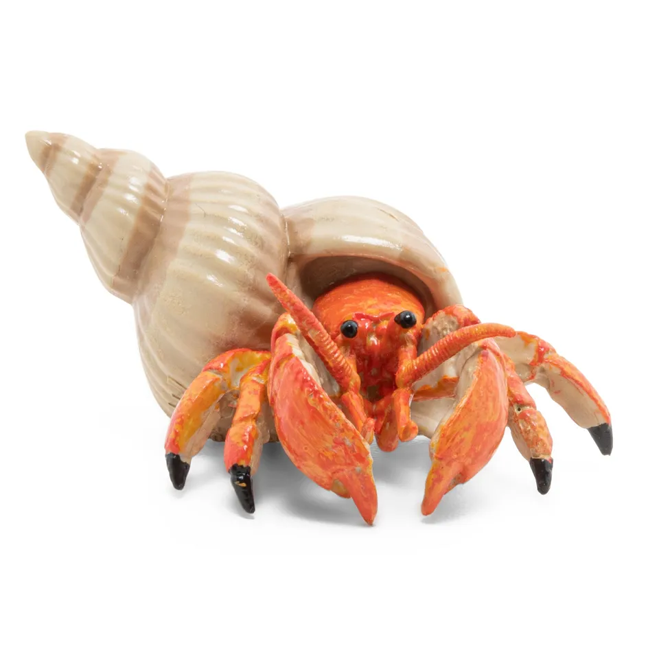 papo-marine-world-einsiedlerkrebs-figur-meerestier image 1