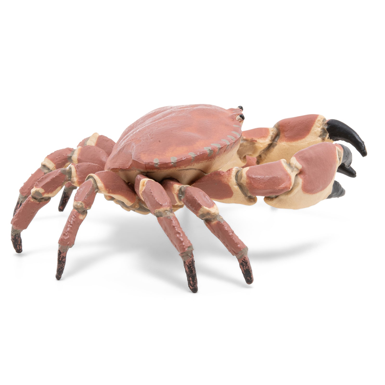 papo-marine-world-krabbenfigur-mit-scheren image 5
