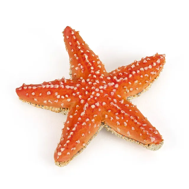 papo-marine-world-seestern-figur-meerestier-mit-5-armen image 1