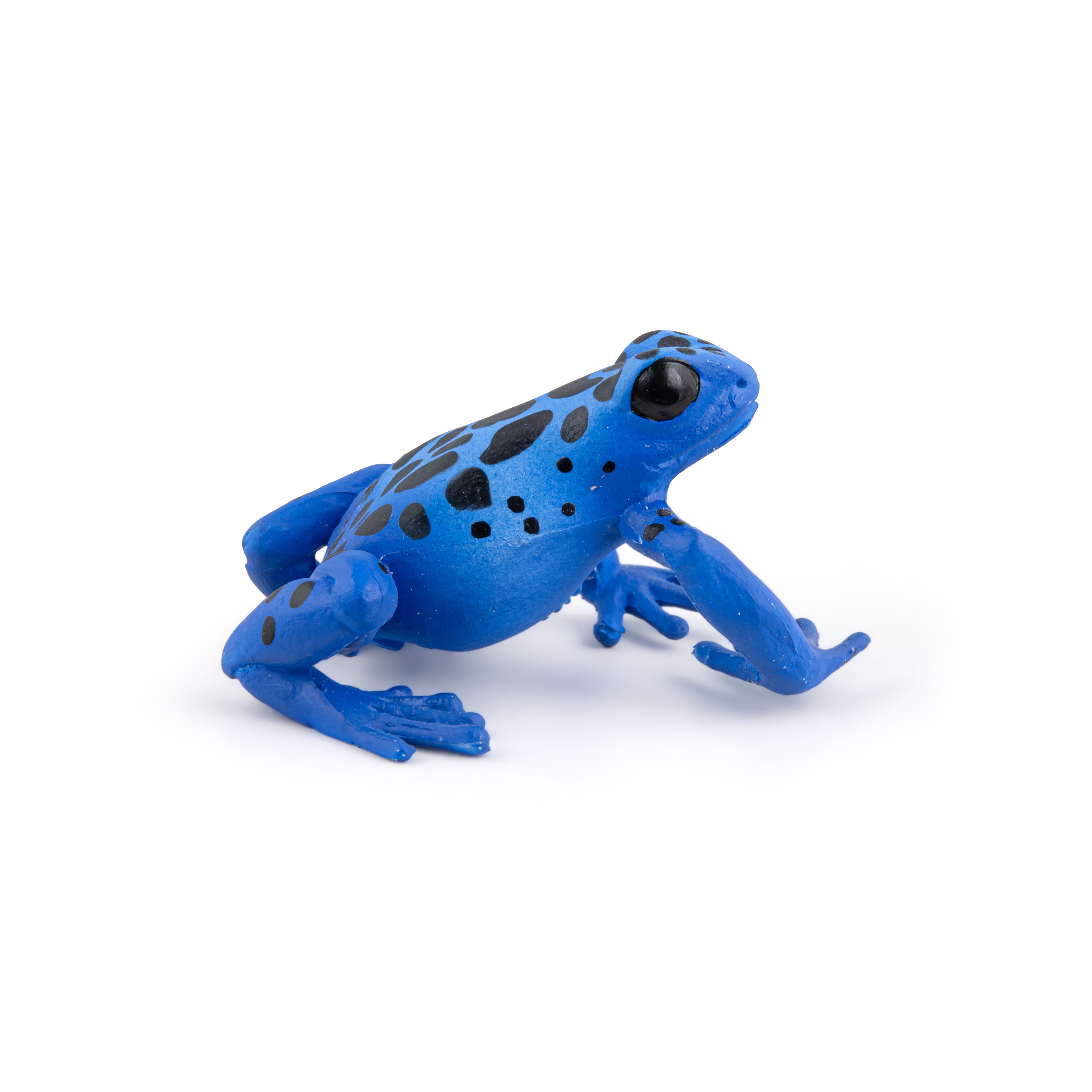 papo-wildlife-blauer-quatorialfrosch-figur-regenwald image 3