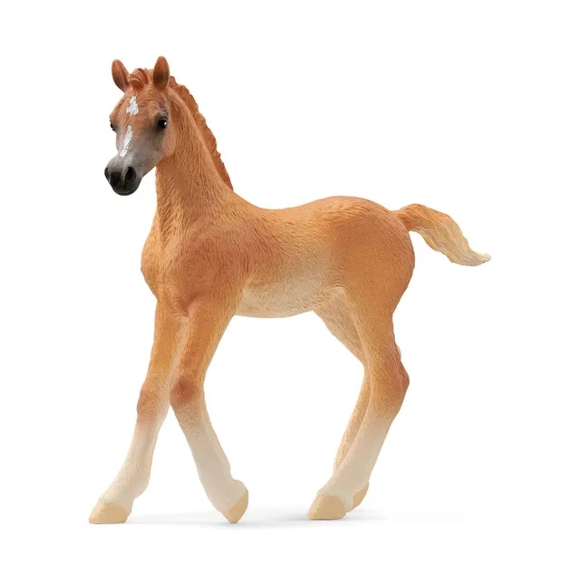 schleich-horse-club-araber-fohlen-pferdefigur-13984 image 1
