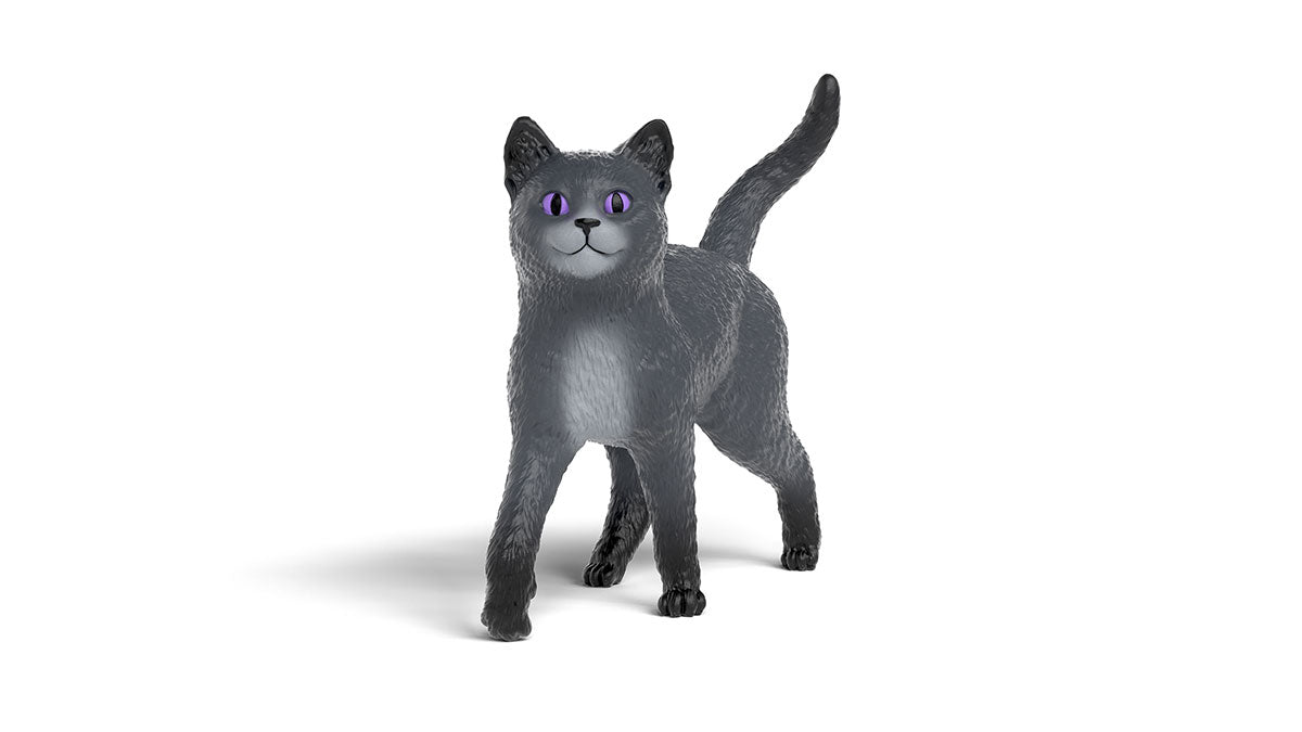 schleich-schule-magische-tiere-karajan-kater-14912-fantasyfigur image 1