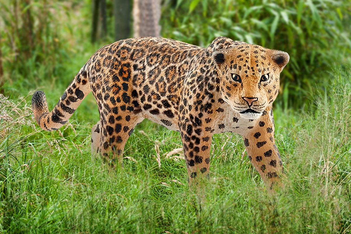 schleich-wild-life-jaguar-tierfigur-14769-dschungel image 2