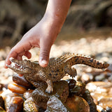 schleich-wild-life-krokodil-tierfigur-salzwasserkrokodil image 2