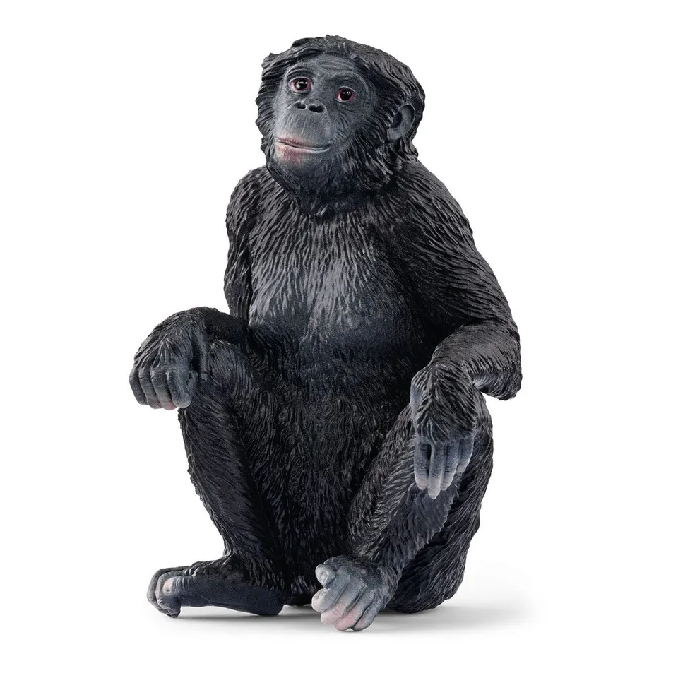 schleich-wild-life-bonobo-weibchen-spielfigur-sitzend image 1
