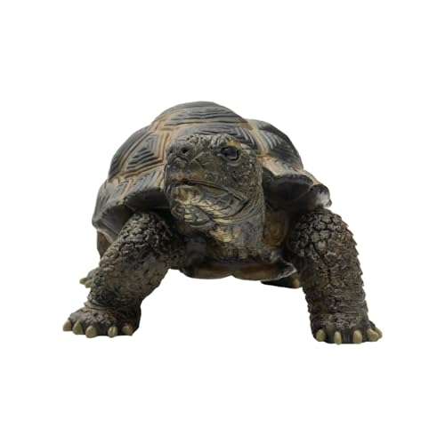bullyland-crawlers-63553-landschildkr-te-tierfigur-13-6-cm image 7
