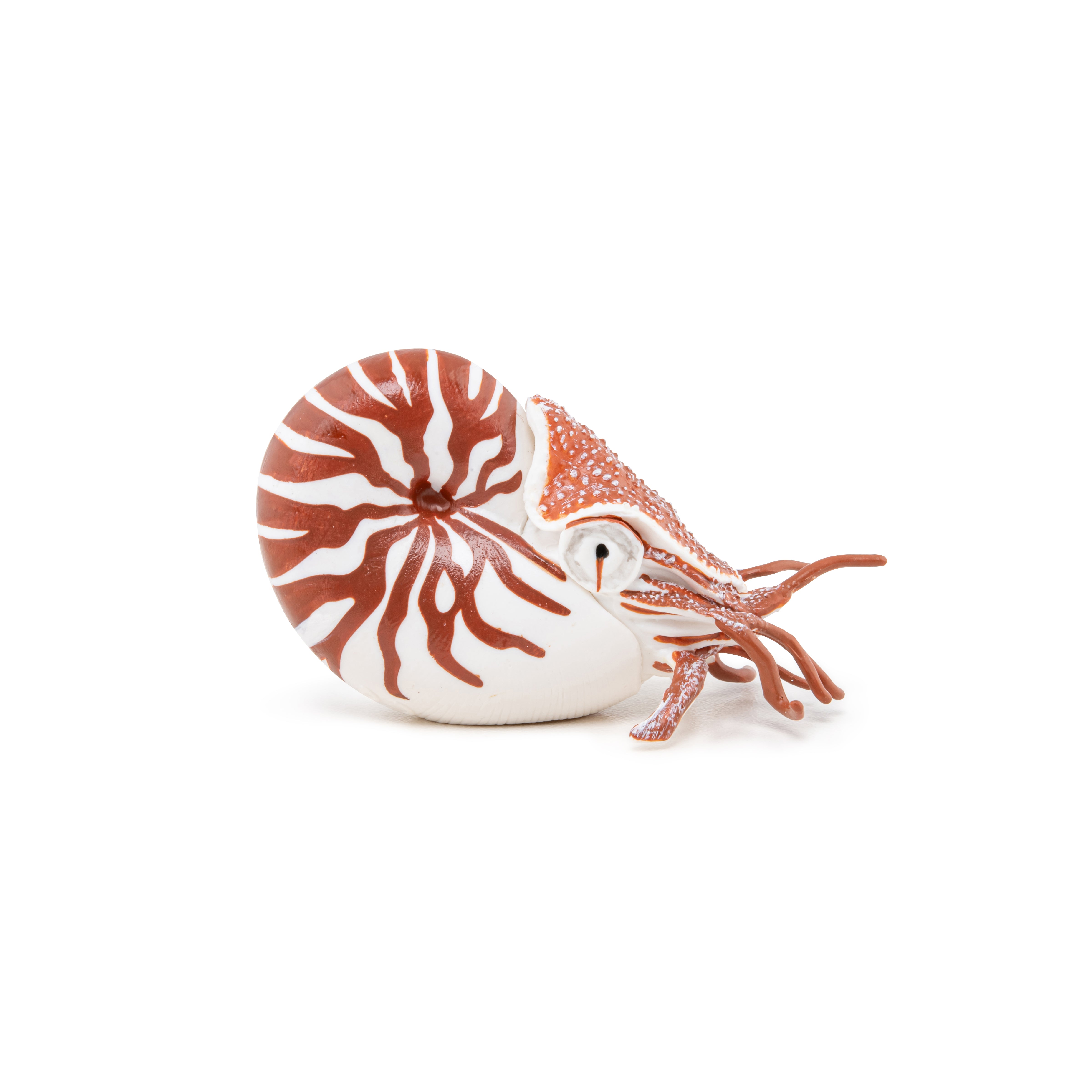 papo-marine-world-nautilus-meerestier-figur-spiralgeh-use image 4