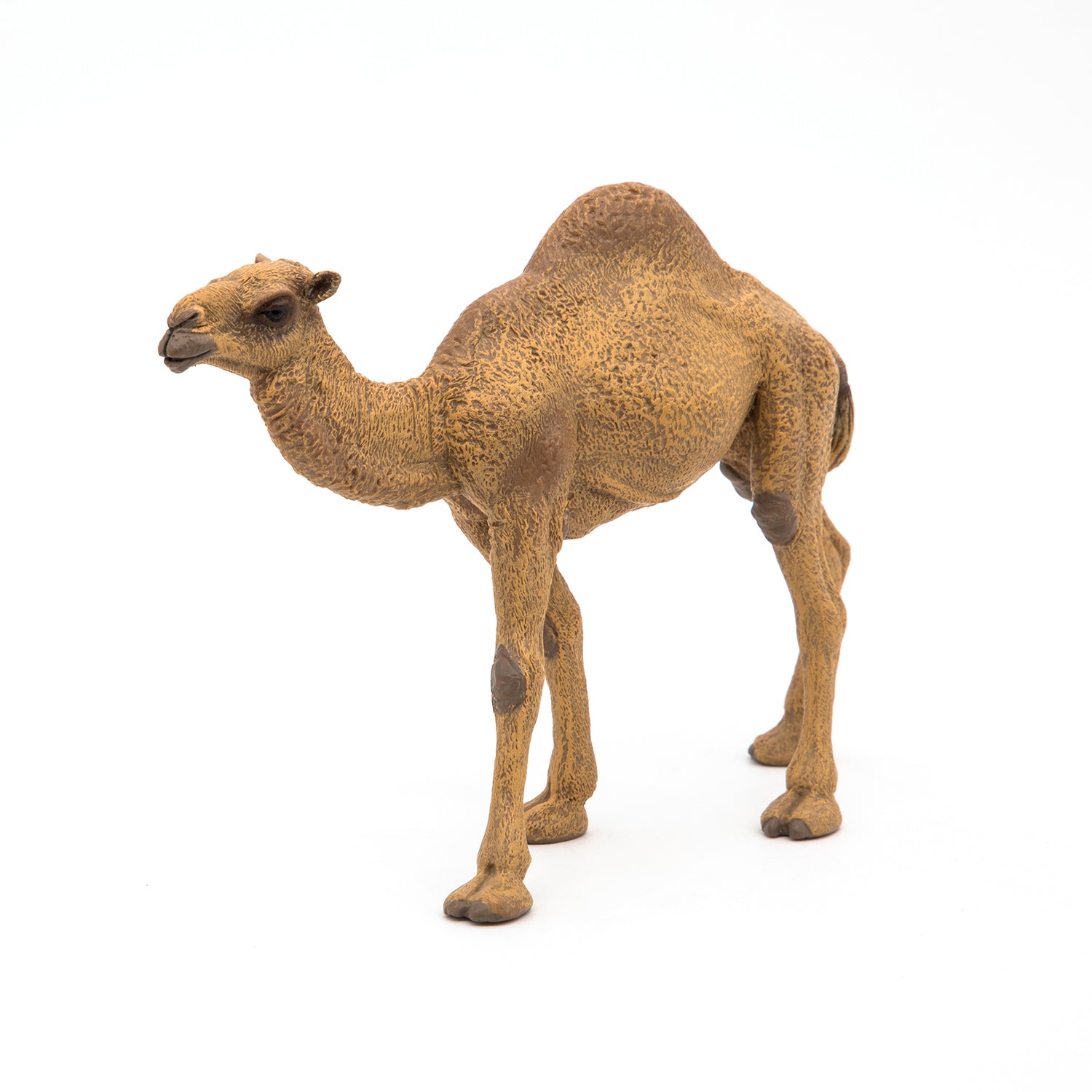 papo-wildlife-dromedar-tierfigur-w-stentier image 3