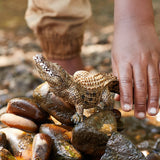 schleich-wild-life-krokodil-tierfigur-salzwasserkrokodil image 4