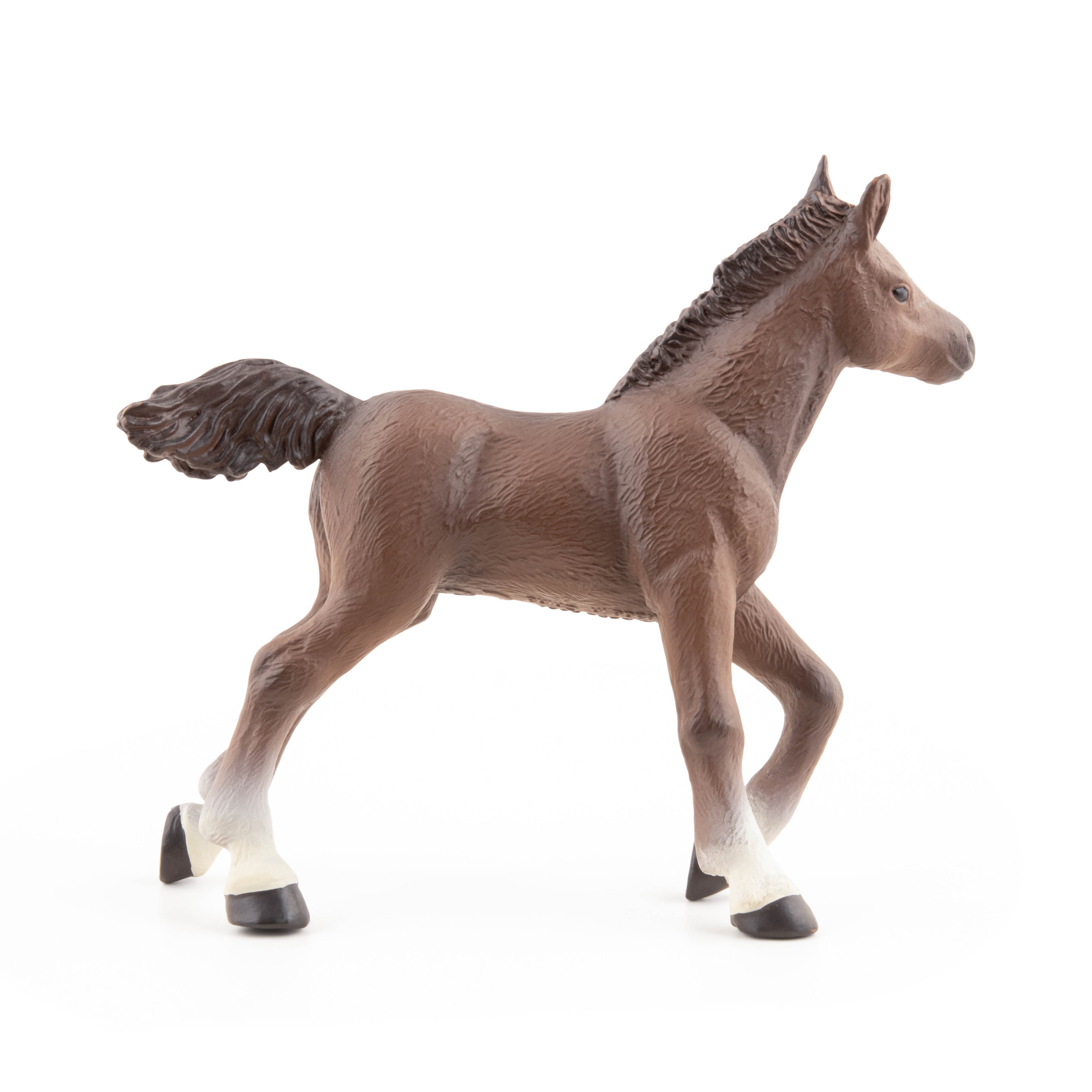 papo-horses-anglo-araber-fohlen-pferdefigur image 5