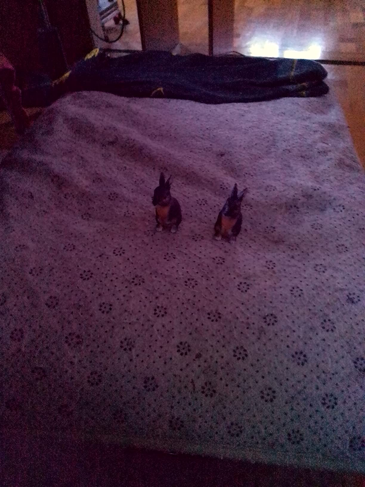 Klein und fein