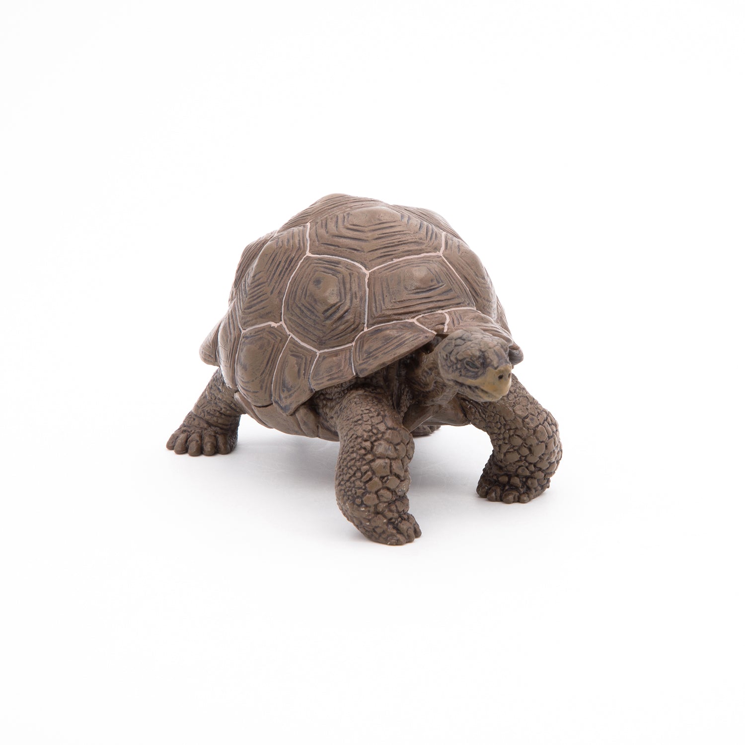 papo-wildlife-galapagos-schildkr-te-reptil-figur image 6