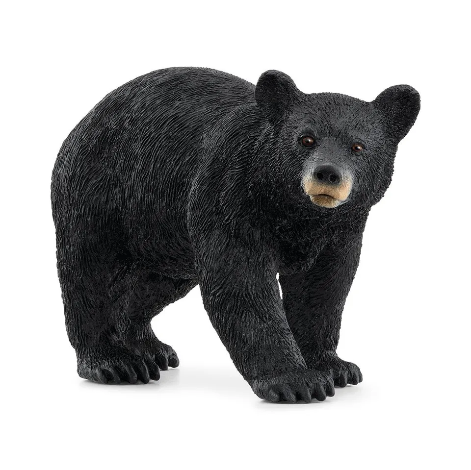 schleich-wild-life-amerikanischer-schwarzb-r-figur-14869 image 1
