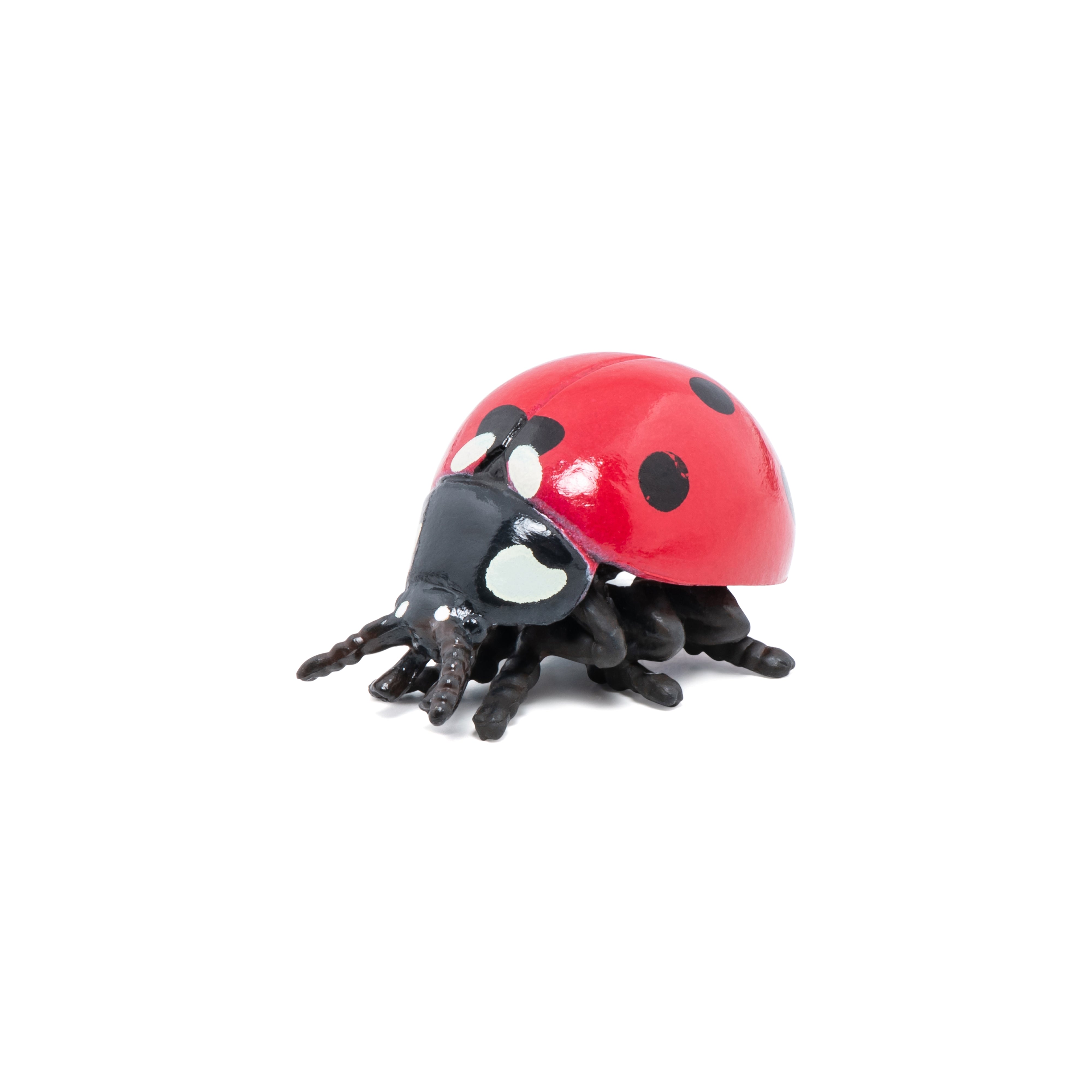 papo-garden-animals-marienk-fer-figur-insekt-rot-mit-punkten image 4