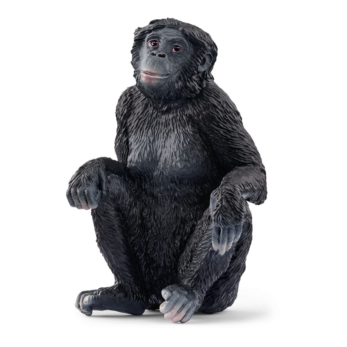 schleich-wild-life-bonobo-weibchen-spielfigur-sitzend image 1