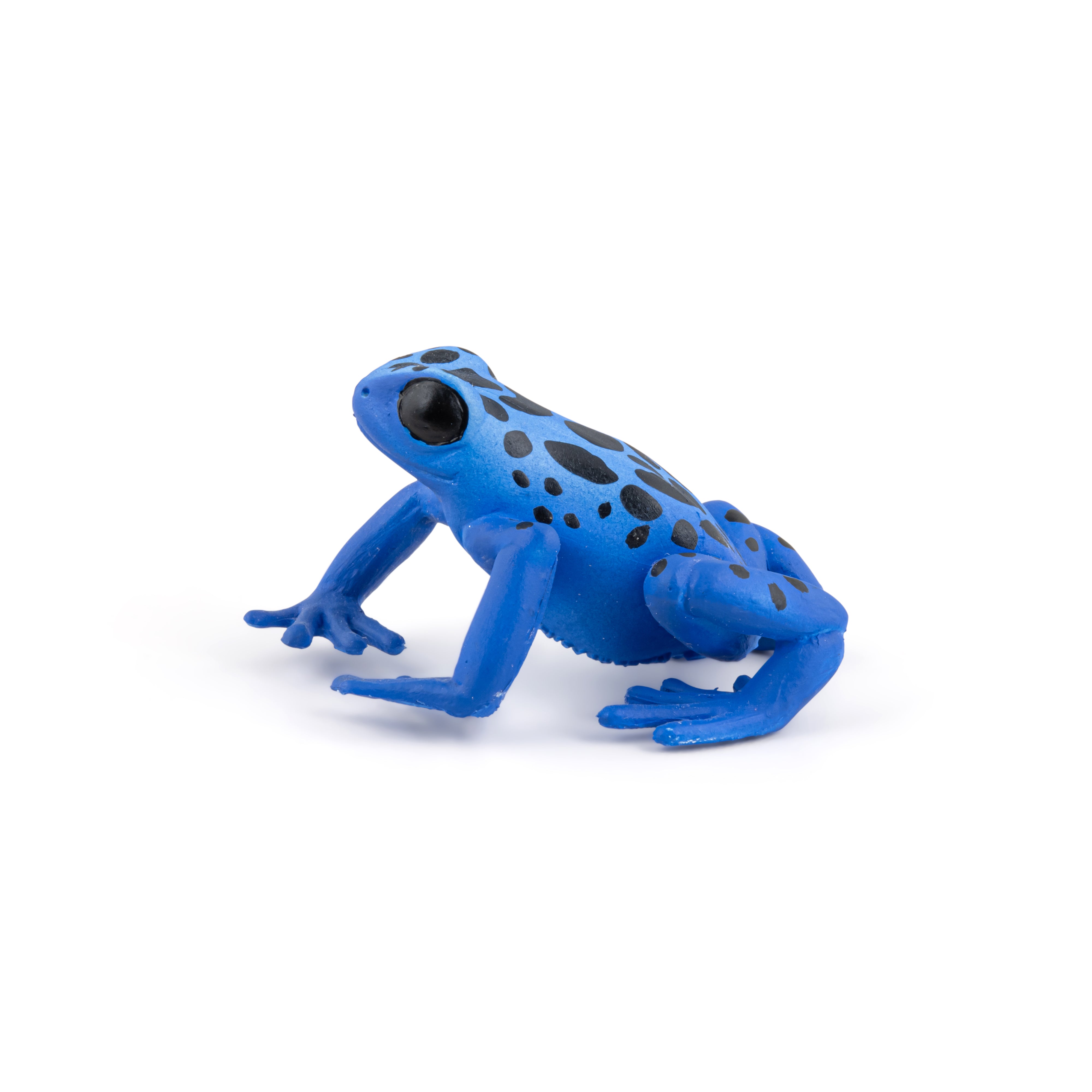 papo-wildlife-blauer-quatorialfrosch-figur-regenwald image 2