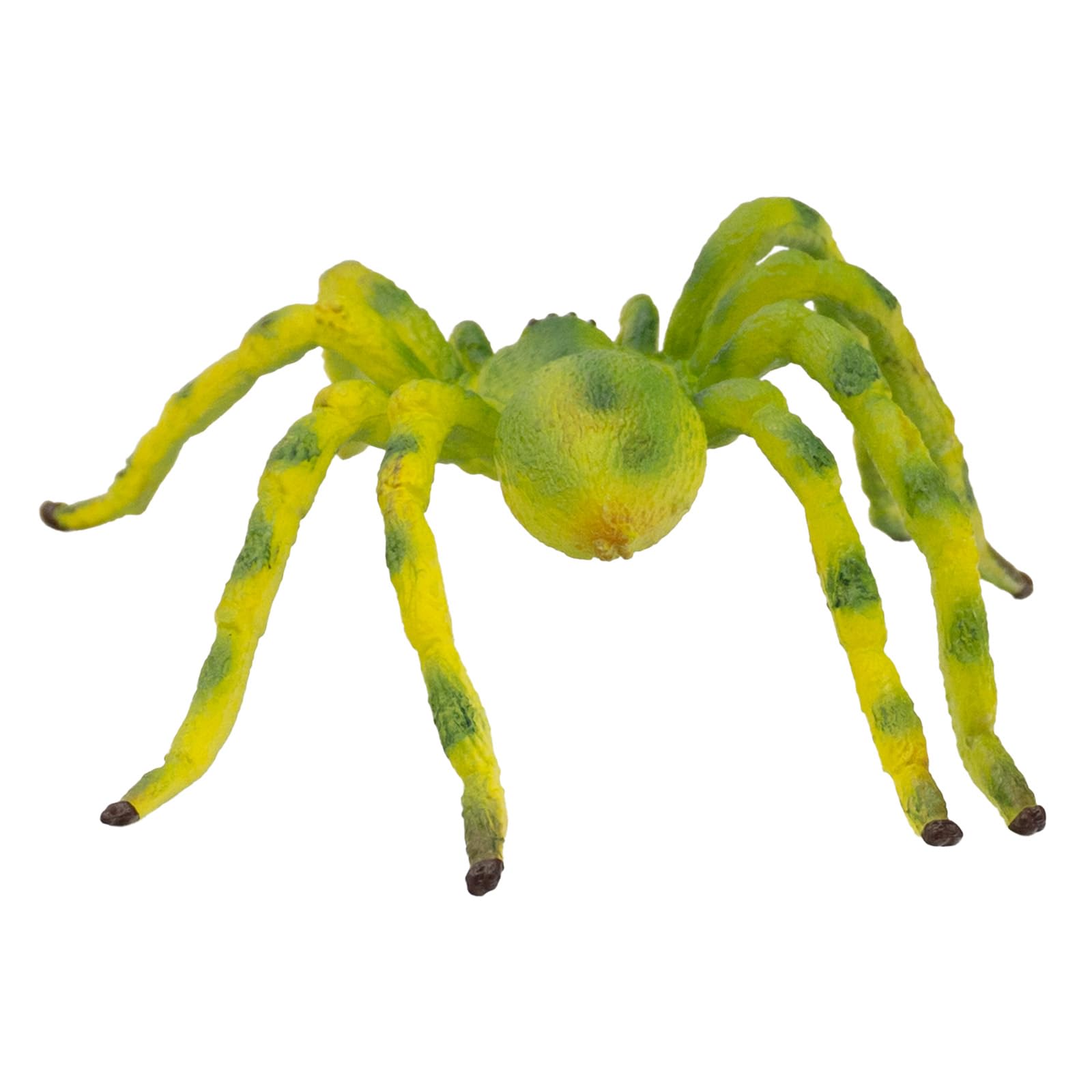 bullyland-crawlers-gr-ne-huschspinne-tierfigur-68455 image 4